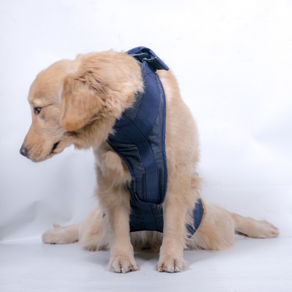 Best Full Body Dog Lifting Harnesses For Sale | LOVEPLUSPET