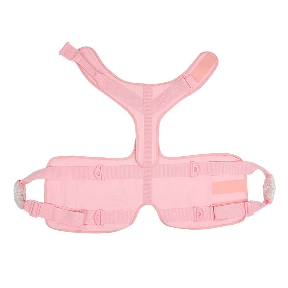 Best Full Body Dog Lifting Harnesses For Sale | LOVEPLUSPET