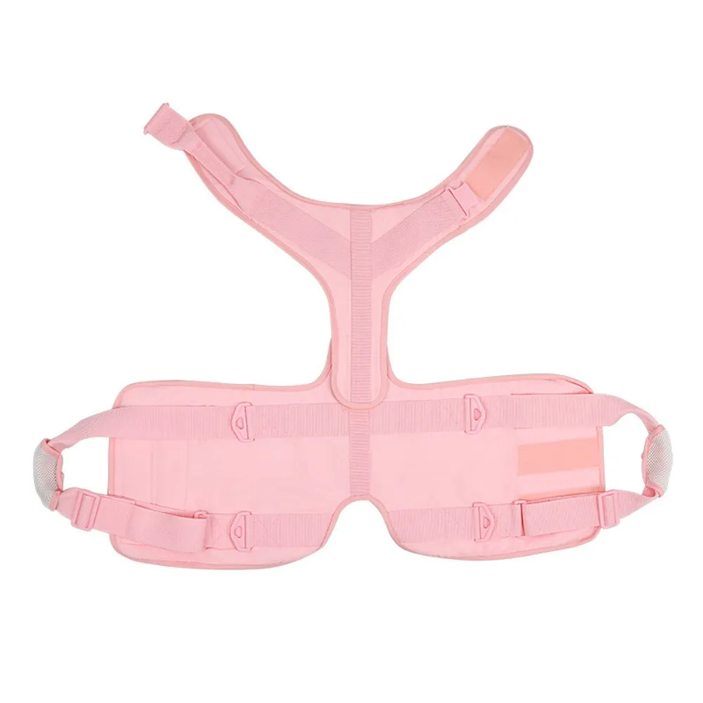 Best Full Body Dog Lifting Harnesses For Sale | LOVEPLUSPET