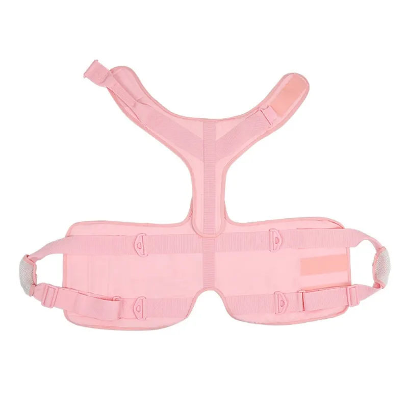 Best Full Body Dog Lifting Harnesses For Sale | LOVEPLUSPET