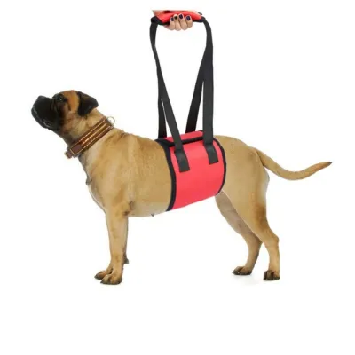 Mid-body Dog Support Sling