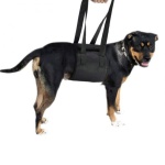 Best Dog Support Sling For Sale | LOVEPLUSPET