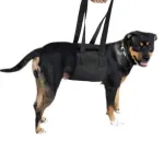 Best Dog Support Sling For Sale | LOVEPLUSPET