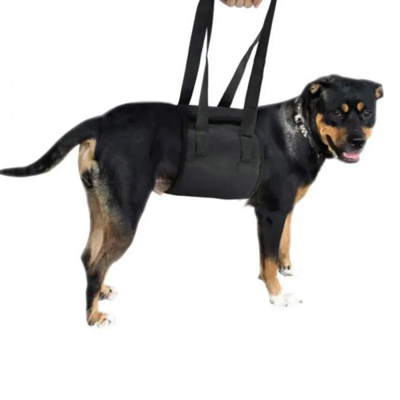 Best Dog Support Sling For Sale | LOVEPLUSPET