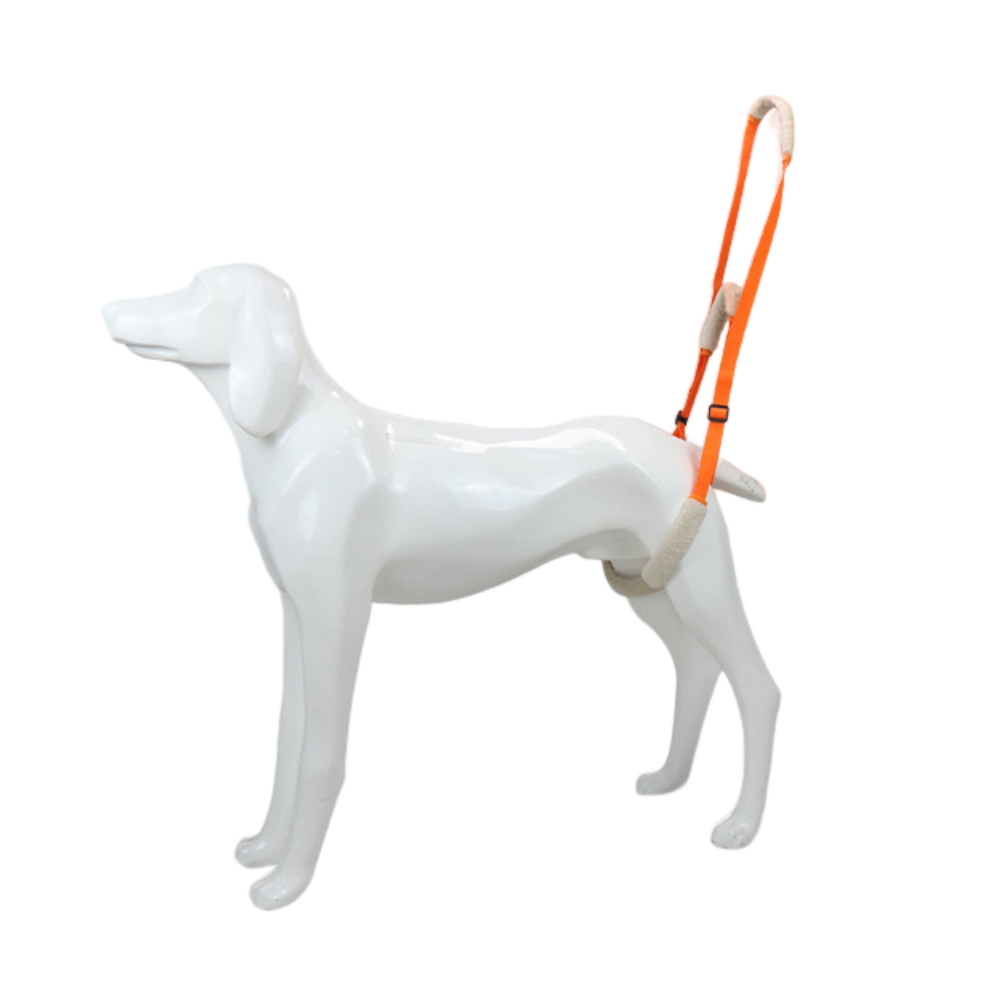 Best Rear Harness for Dogs For Sale | LOVEPLUSPET