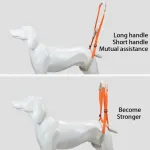 Best Rear Harness for Dogs For Sale | LOVEPLUSPET