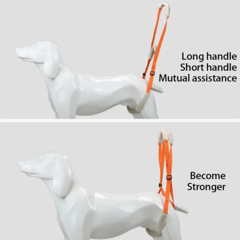 Best Rear Harness for Dogs For Sale | LOVEPLUSPET