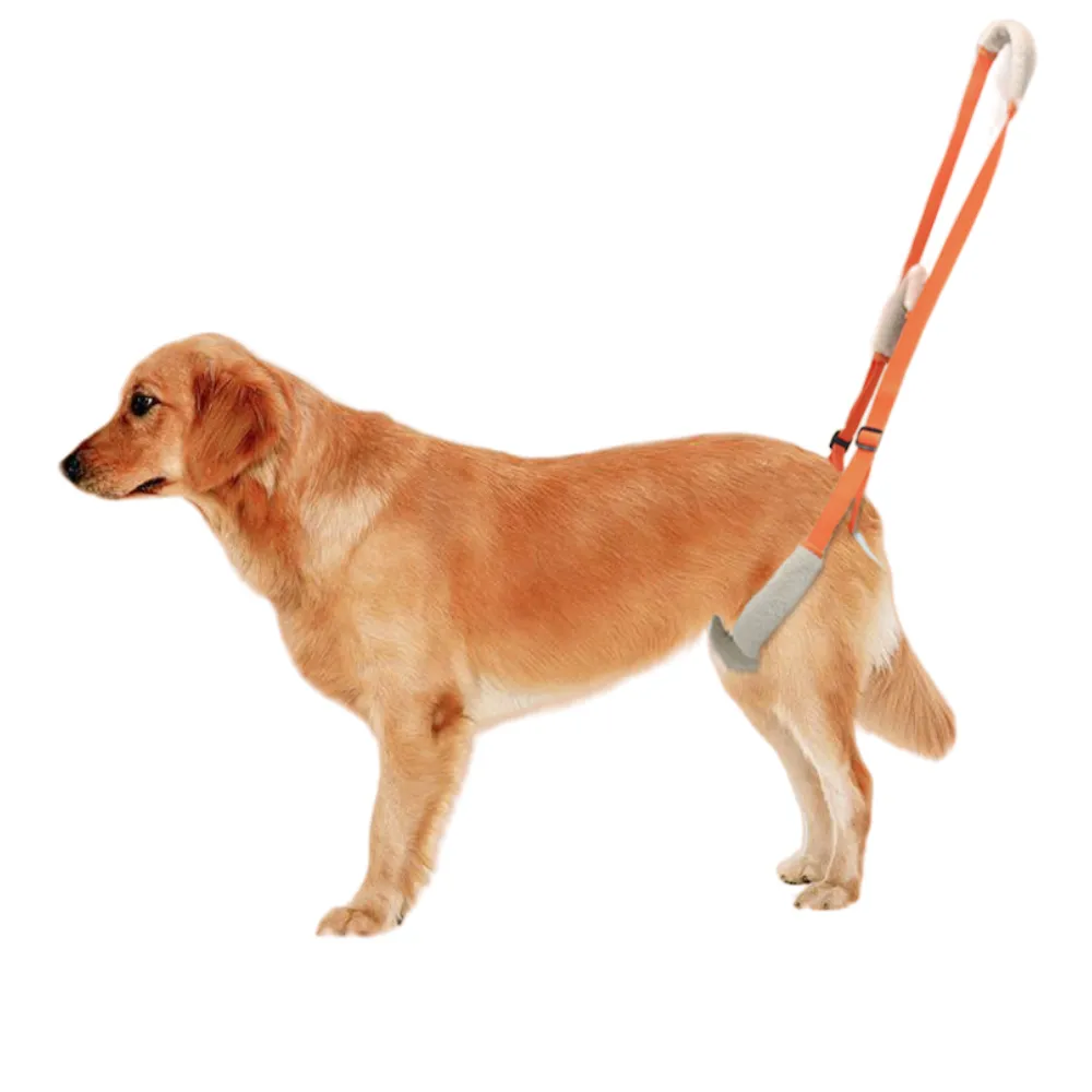 Best Rear Harness for Dogs For Sale | LOVEPLUSPET