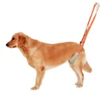 Best Rear Harness for Dogs For Sale | LOVEPLUSPET