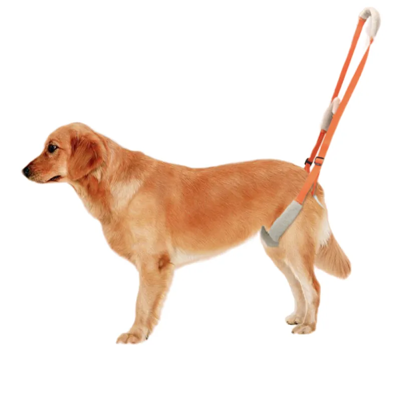 Best Rear Harness for Dogs For Sale | LOVEPLUSPET