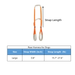 Best Rear Harness for Dogs For Sale | LOVEPLUSPET