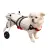 Small / Medium Dog Hind Leg Wheelchair