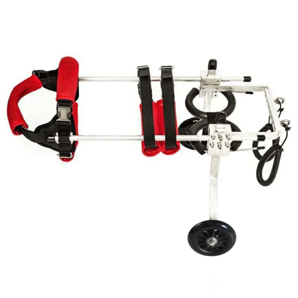 Best Small & Medium Dog Hind Leg Wheelchair For Sale | LOVEPLUSPET