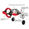 Best Small & Medium Dog Hind Leg Wheelchair For Sale | LOVEPLUSPET