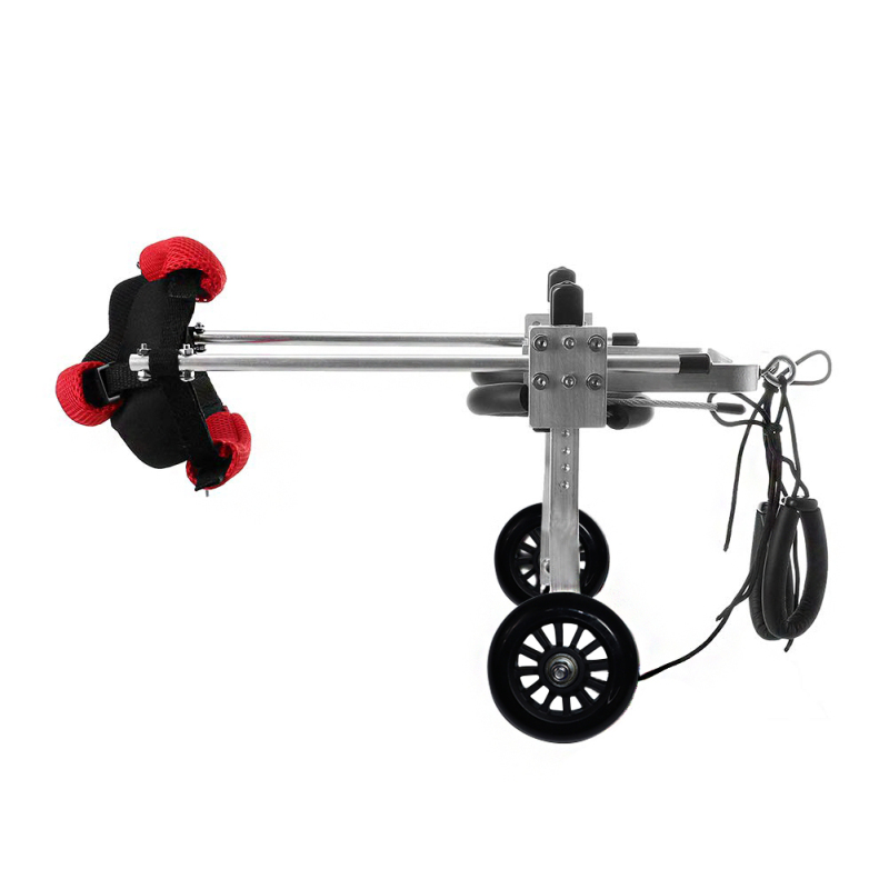 Best Small & Medium Dog Hind Leg Wheelchair For Sale | LOVEPLUSPET