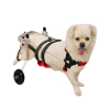 Small / Medium Dog Hind Leg Wheelchair