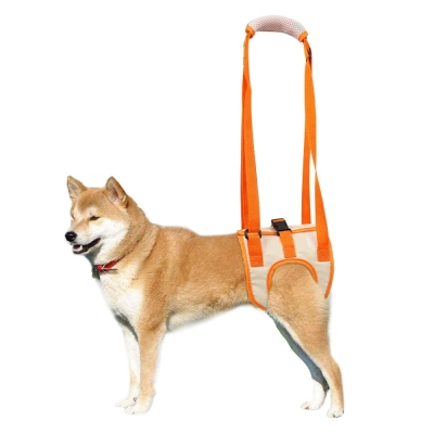 Back Leg Dog Harness 01