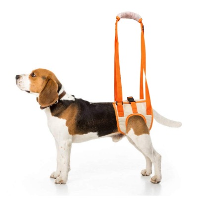 Best Back Leg Dog Harness For Sale | LOVEPLUSPET