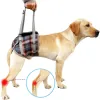 Grid Dog Lift Harness for Back Legs