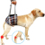 Grid Dog Lift Harness for Back Legs