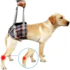 Best Dog Lift Harness for Back Legs | LOVEPLUSPET