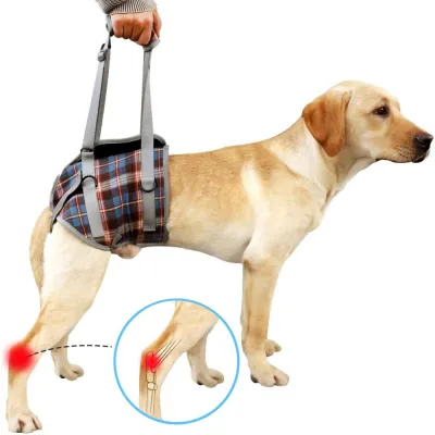 Grid Dog Lift Harness for Back Legs 01