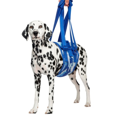 Medium / Large Dog Mid-body Lift Harness