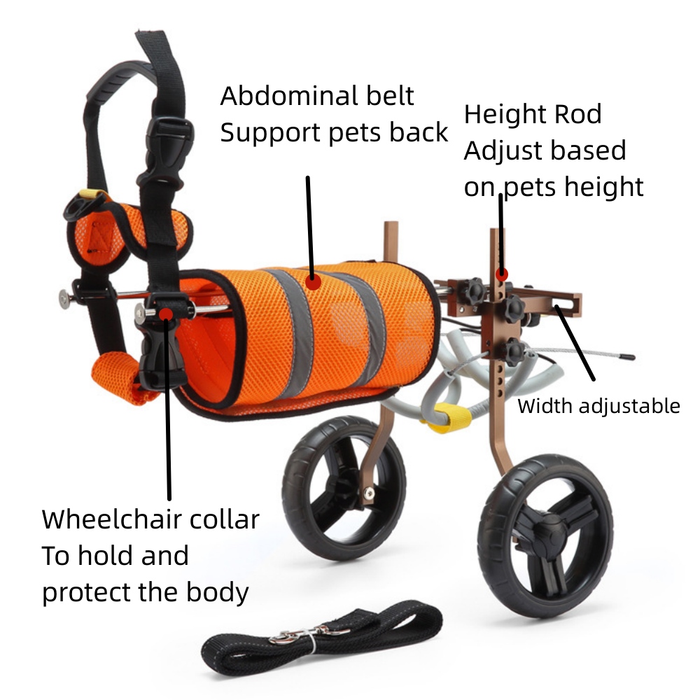 Best Small Dog Back Leg Support Wheels for Sale LOVEPLUSPET