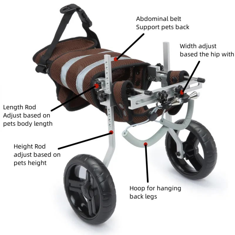 Best Small Rear Support Dog Wheelchair For Sale | LOVEPLUSPET