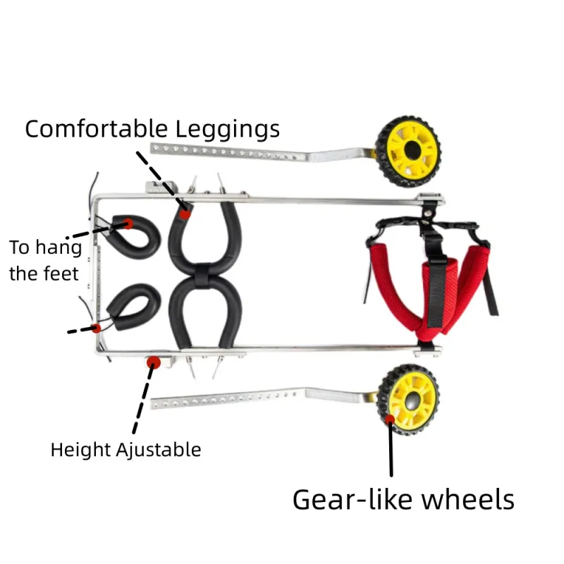 Best Small Dog Wheelchair for Back Legs | LOVEPLUSPET