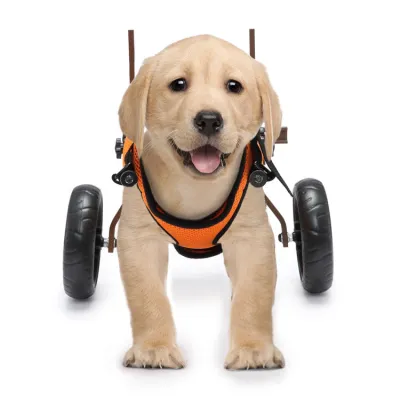 Small Rear Support Dog Wheelchair 02