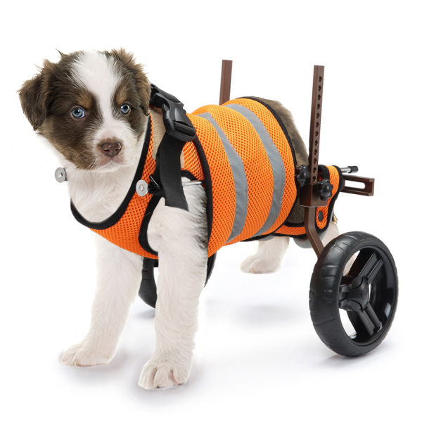 Best Small Rear Support Dog Wheelchair For Sale | LOVEPLUSPET