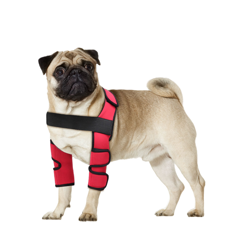 Best Dog Elbow Brace Hygroma For Sale LOVEPLUSPET