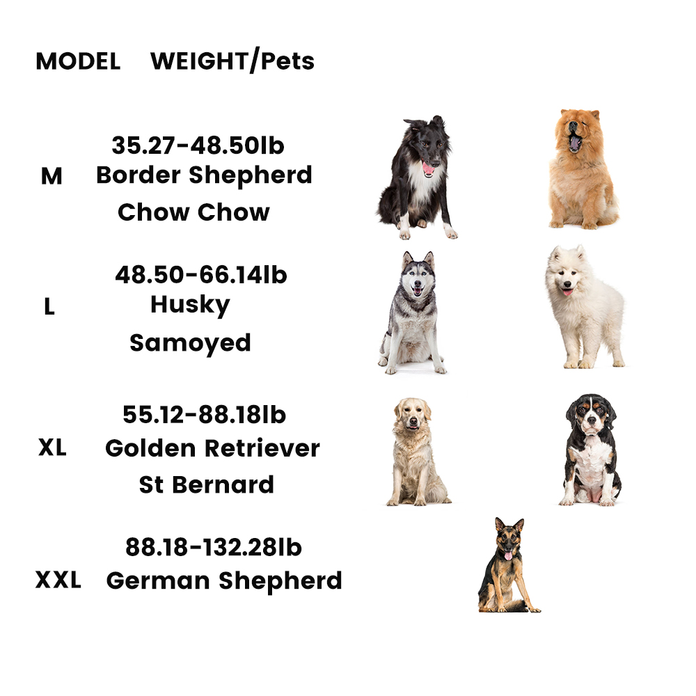 Best Paralyzed Large Dog Wheelchair for Back Legs | LOVEPLUSPET