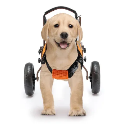 Small Dog Wheelchairs for Back Leg Support 