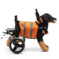 Best Small Dog Back Leg Support Wheels for Sale | LOVEPLUSPET