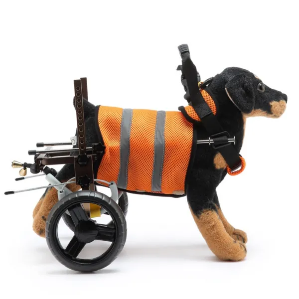 Best Small Dog Back Leg Support Wheels for Sale | LOVEPLUSPET