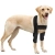 Dog Elbow Dysplasia Brace