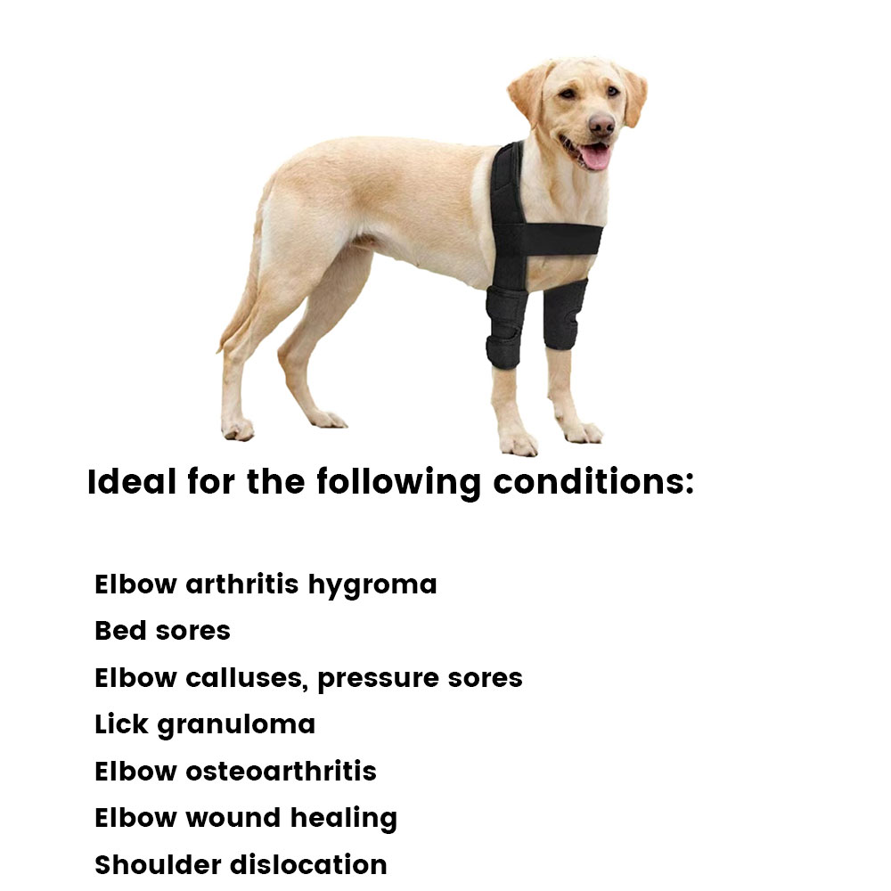 Best Dog Elbow Dysplasia Brace | Dog Elbow Support For Sale | LOVEPLUSPET