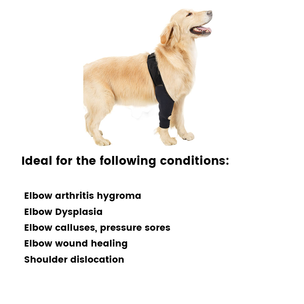 Best Dog Elbow Support For Sale | LOVEPLUSPET