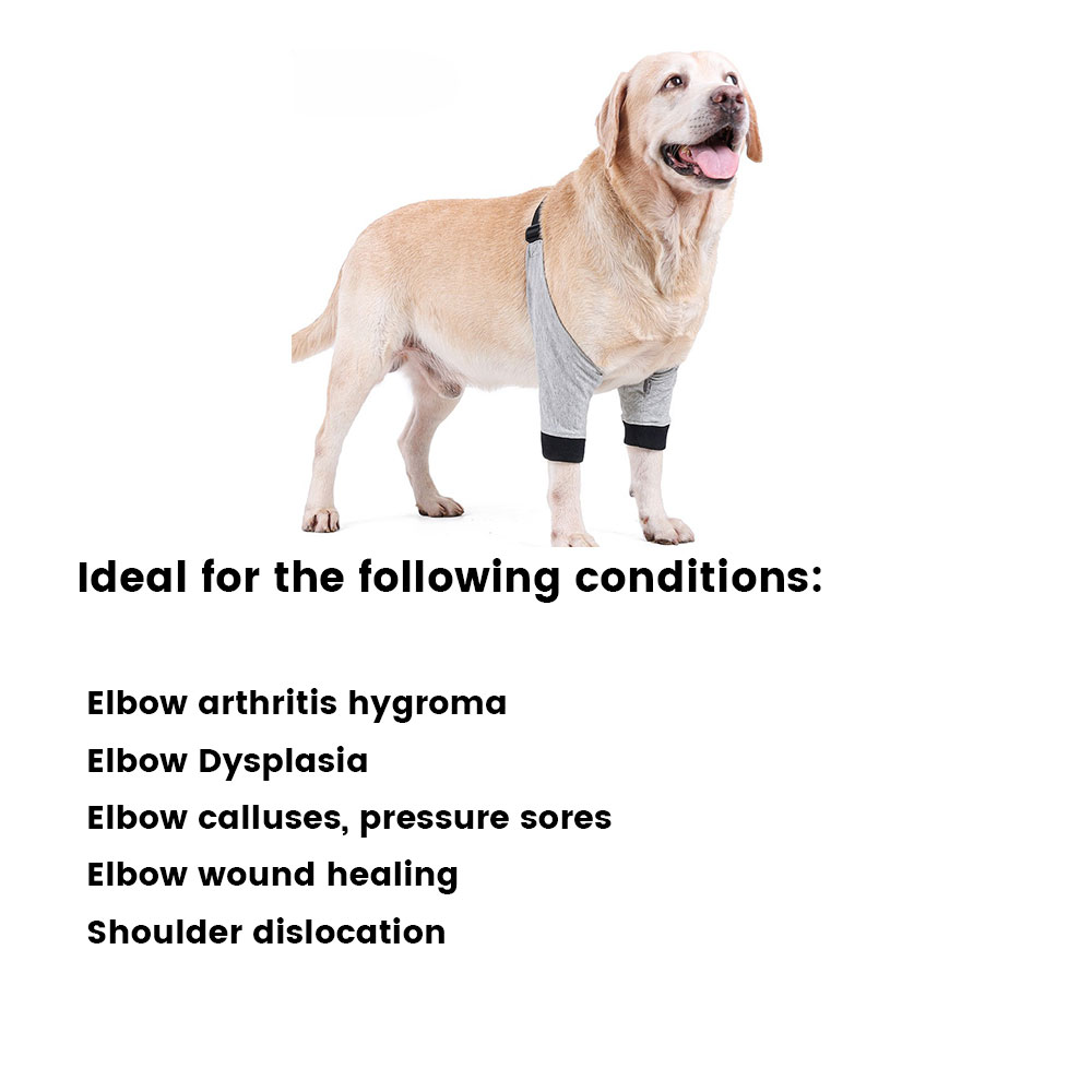 Best Dog Front Elbow Brace For Sale | LOVEPLUSPET