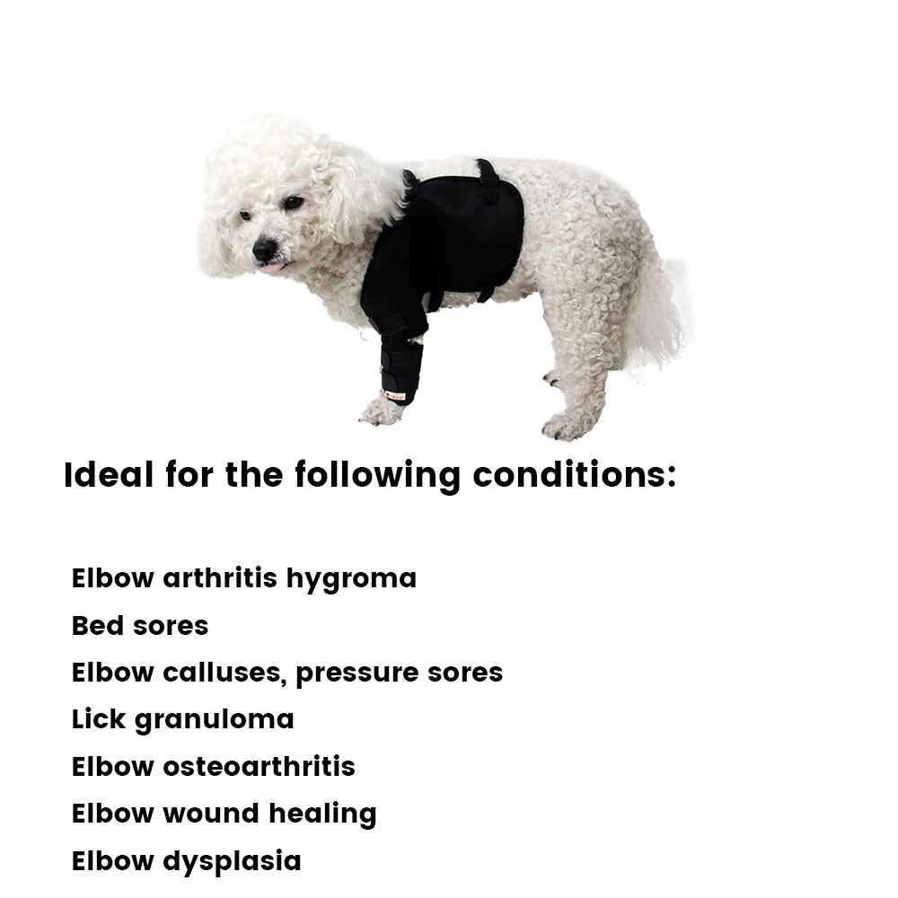 Best Dog Front Shoulder Brace For Sale | LOVEPLUSPET