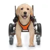 Best Full Support Wheelchair for Small Dogs | LOVEPLUSPET
