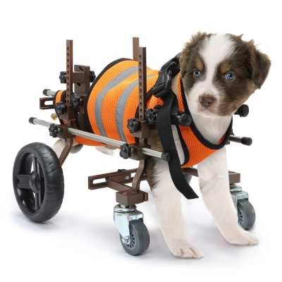 Full Support Wheelchair for Small Dogs 01