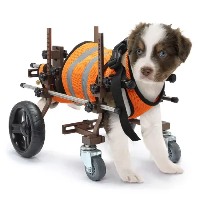 Full Support Wheelchair for Small Dogs 01