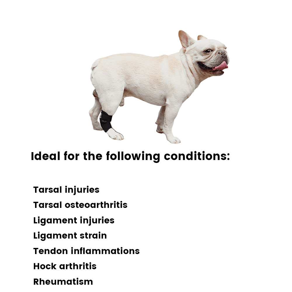 Best Hock Support Brace For Dogs | Canine Ankle Brace For Sale | LOVEPLUSPET