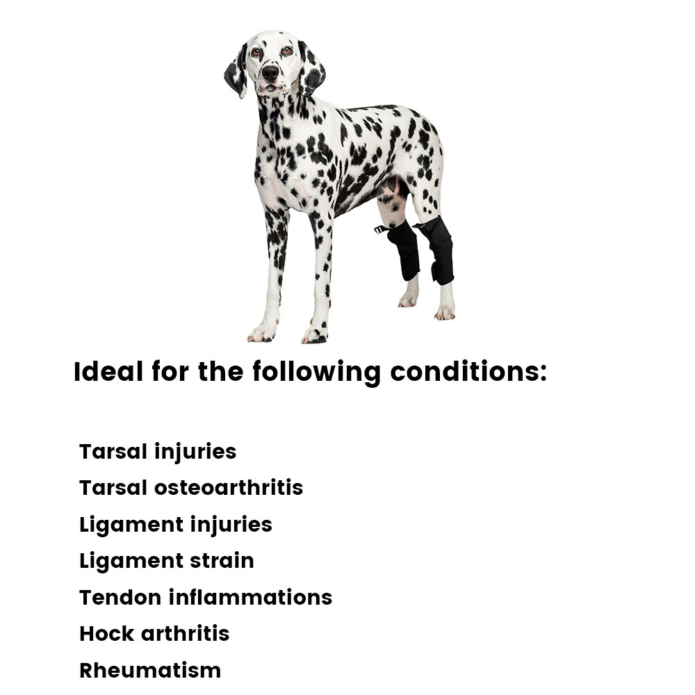 Best Dog Hock Support Brace For Sale | LOVEPLUSPET