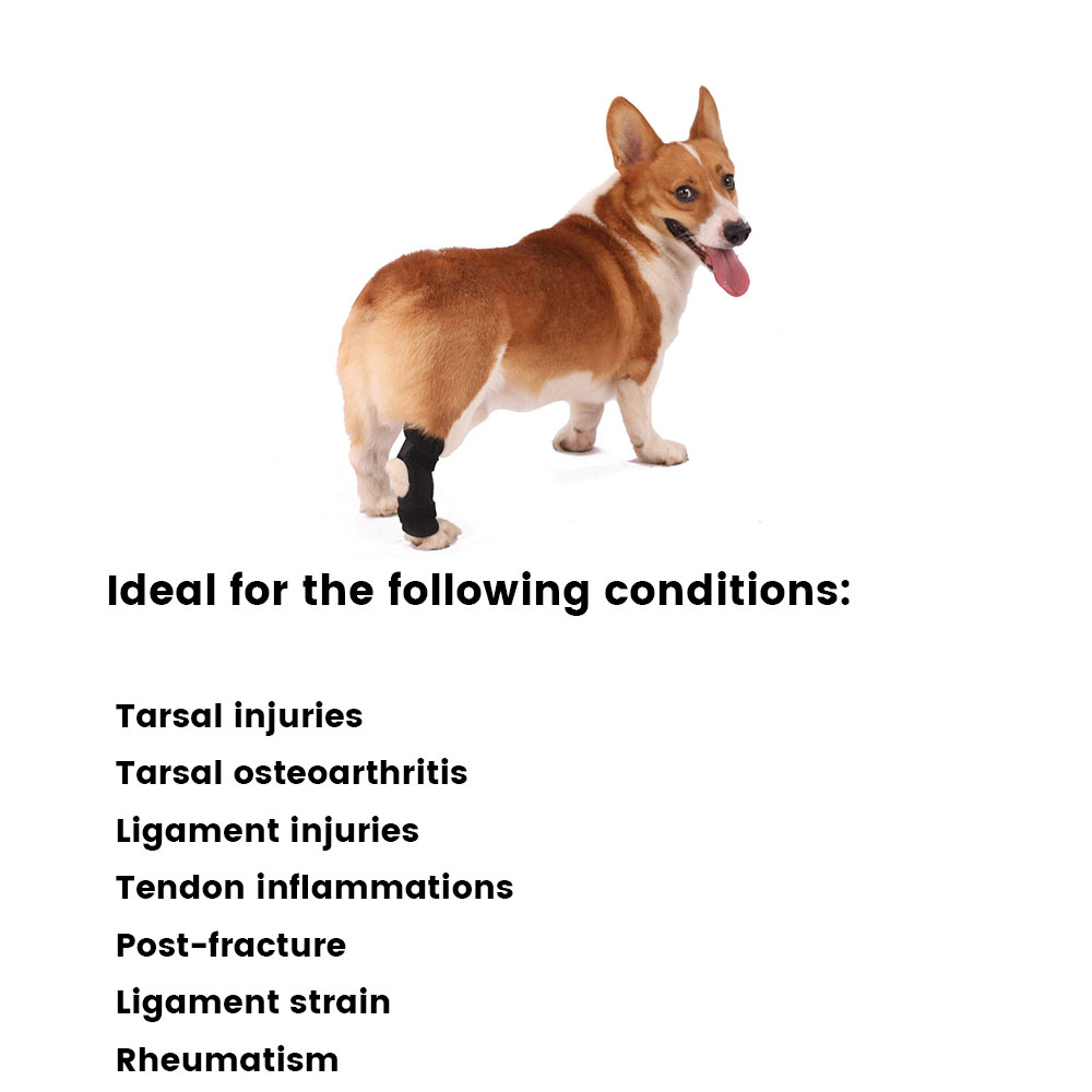 Best Extra Supportive Dog Hock Wrap For Sale | LOVEPLUSPET