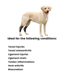Best Dog Hock Support Brace For Sale | LOVEPLUSPET