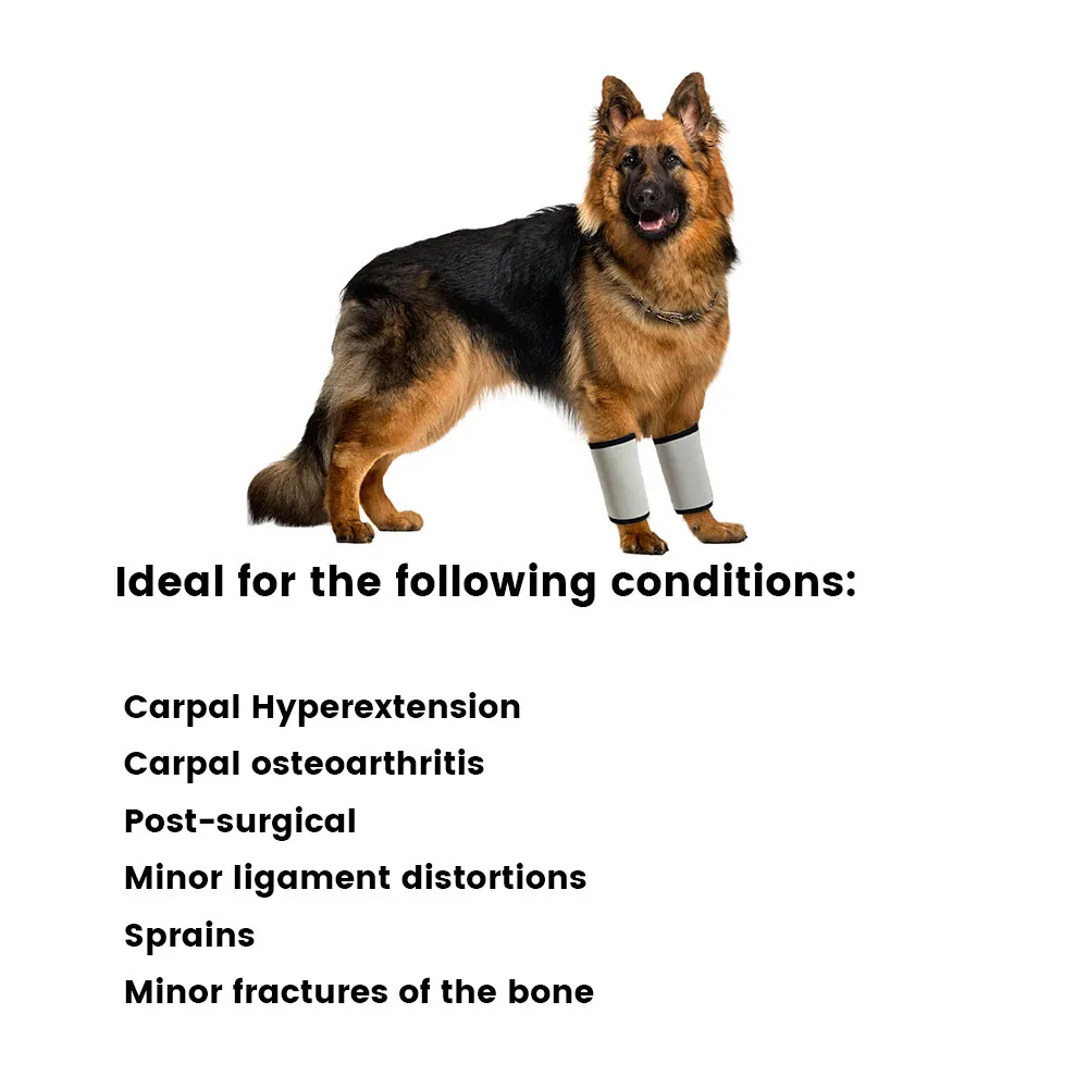Best Carpal Hyperextension Dog Brace For Sale | LOVEPLUSPET